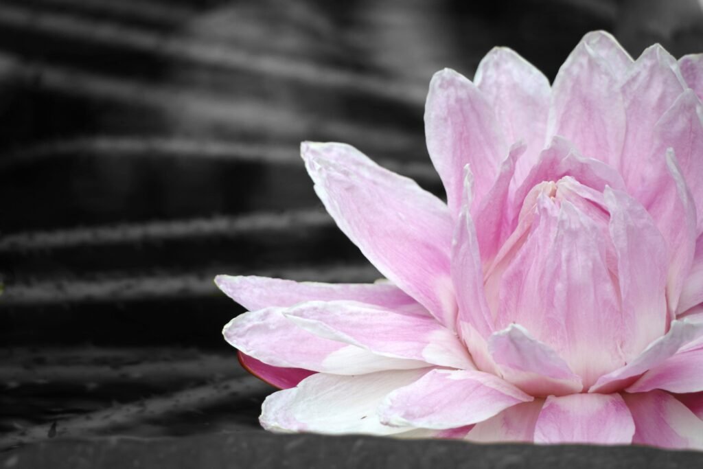 Massage tantrique au pays Basque