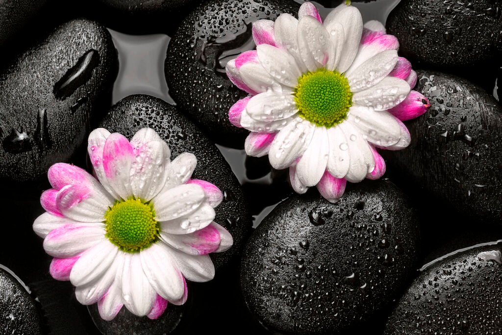 équilibre yin et yang en massage tantrique à Bordeaux