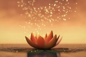 contact massage tantrique bordeaux
