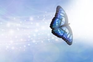 massage tantrique vs massage cachemirien